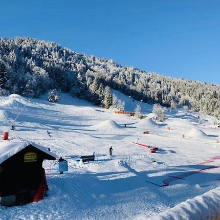 Apartment In Morzine - Ski In - Sleeps 6 エクステリア 写真